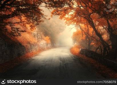 Amazing autumn forest with rural road in fog. Fall trees with orange foliage. Landscape with woods, mountain road, colorful leaves, and mist. Travel. Nature background. Magical foggy forest. Fairytale