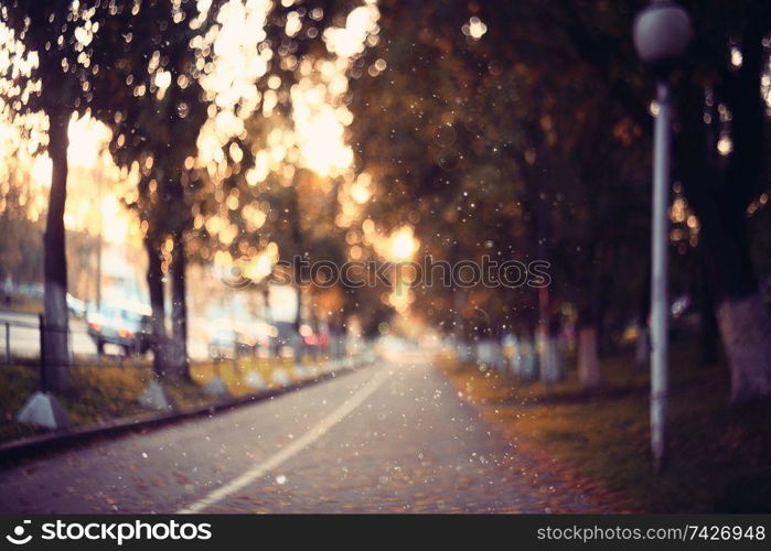 amazing autumn landscape in the city park