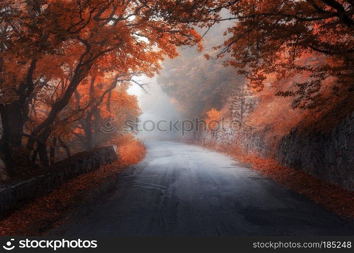 Amazing autumn red forest with road in fog. Fall trees with red foliage. Colorful landscape with woods, road, orange and red leaves, and fog. Travel. Nature background. Magic forest. Fairytale