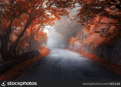 Amazing autumn red forest with road in fog. Fall trees with red foliage. Colorful landscape with woods, road, orange and red leaves, and fog. Travel. Nature background. Magic forest. Fairytale
