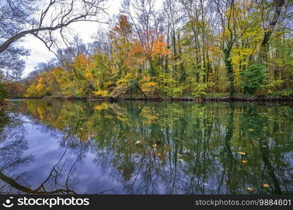 Amazing autumn scene of a river in a forest with typical yellowish colors of autumn