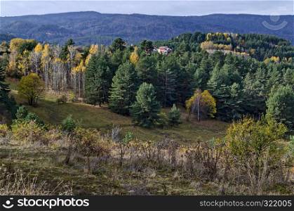 Amazing autumn view of glade, hill, forest with deciduous and coniferous trees around Batak dam reservoir, Rhodope mountains, Bulgaria
