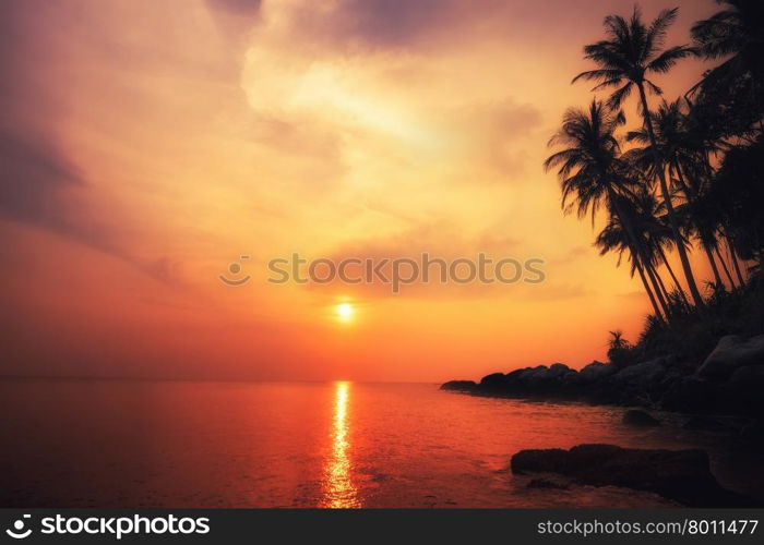 Amazing colors of tropical sunset. Phuket island, Thailand travel landscapes and destinations