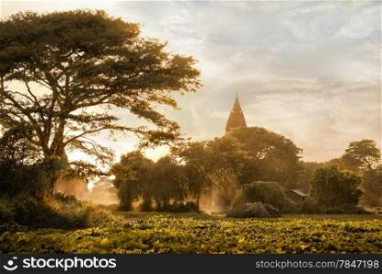 Amazing golden sunset with sunbeams over fields and ancient architecture of old Buddhist Temples at Bagan Kingdom, Myanmar (Burma). Travel landscapes and destinations. Image in vintage style