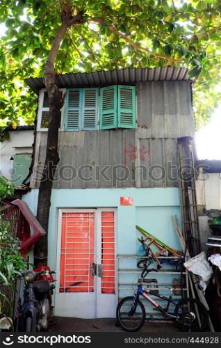 Amazing house under large tree canopy, home with wooden window overshadow by big Terminalia catappa tree, green leaf make shade and fresh air, Ho Chi Minh city, Vietnam