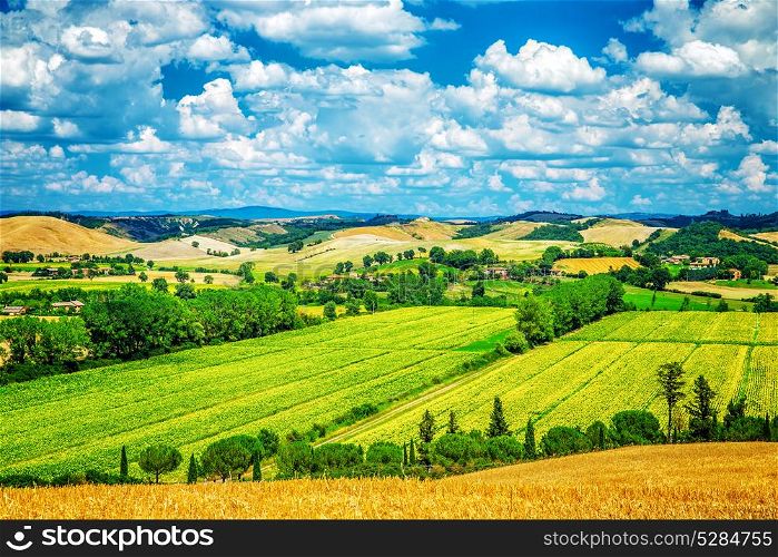 Amazing landscape, beautiful fresh green valley, countryside panoramic scene, beauty of nature, travel and tourism concept