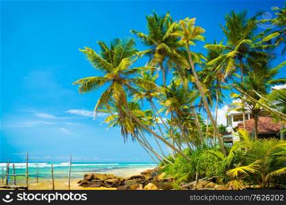 Amazing landscape of a beautiful tropical island, fresh green palm trees over blue sky background, paradise beach, surf location in Sri Lanka