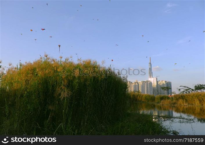 Amazing landscape of Ho Chi Minh city, Vietnam at evening with many kites flying on sunset sky, highrise building reflect on water of river, reeds flowers at foreground make wonderful scene