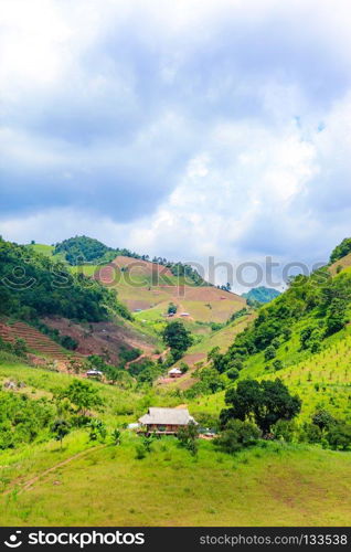 Amazing landscape on Moc Chau highland
