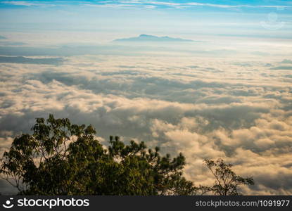 Amazing morning sunrise over misty landscape colorful foggy forest view on top hill mountian and tree foreground