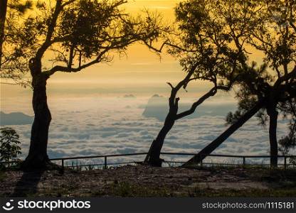 Amazing morning Sunrise Over Misty Landscape colorful summer foggy forest view on top hill mountian and silhouette tree yellow sky