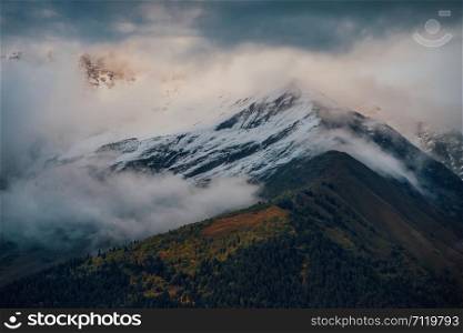 Amazing Mountain View, Peak Ushba, Svaneti, Mestia, Georgia