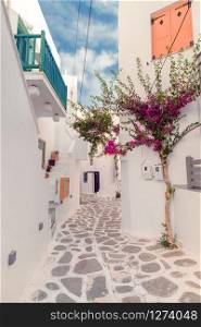 Amazing narrow streets of popular destination on Paros island. Greece. Traditional architecture and colors of mediterranean city. Blue doors, white buildings and bougainvillea flowers in paradise