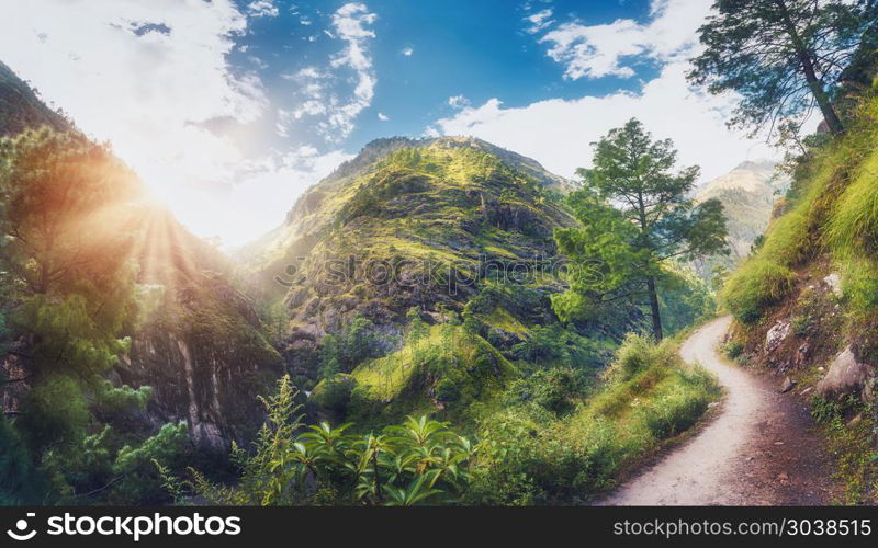 Amazing scene with Himalayan mountains covered green grass and trees, blue cloudy sky with sun, clouds and beautiful path in Nepal at sunset. Panoramic landscape .Mountain valley. Travel in Himalayas. Himalayan mountains covered green grass and trees ay sunset