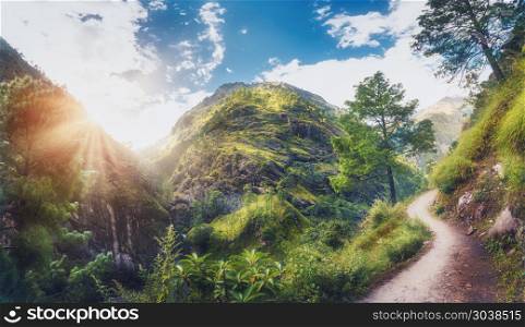 Amazing scene with Himalayan mountains covered green grass and trees, blue cloudy sky with sun, clouds and beautiful path in Nepal at sunset. Panoramic landscape .Mountain valley. Travel in Himalayas. Himalayan mountains covered green grass and trees ay sunset