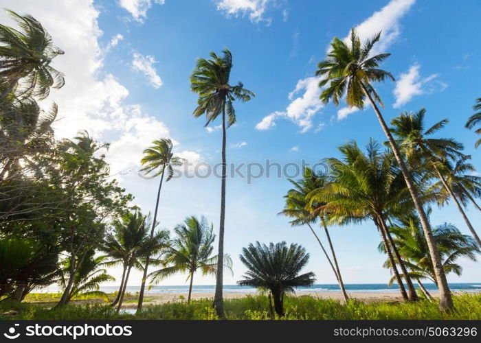 Amazing scenic view of sea bay and mountain islands, Palawan, Philippines