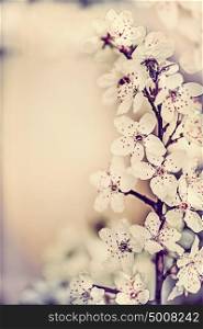 Amazing springtime cherry blossom, floral border, spring nature background, pastel color
