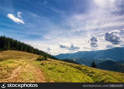 Amazing sunny landscape with pine tree highland forest at Carpathian mountains under blue sky. Ukraine destinations and travel background
