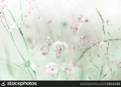 Amazing sunrise at summer meadow with wildflowers. Abstract floral background in vintage style, watercolor painting effect and blur