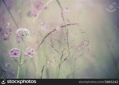 Amazing sunrise at summer meadow with wildflowers. Abstract floral background in vintage style, watercolor painting effect and blur