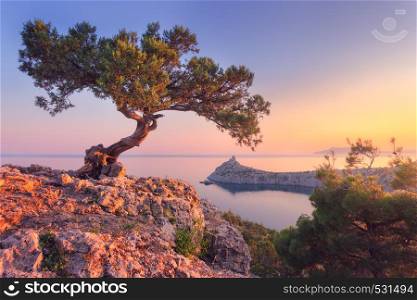 Amazing tree growing out of the rock at sunrise. Colorful landscape with old tree with green leaves, blue sea, mountains and purple sky in the morning. Summer travel in Crimea. Nature background