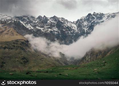 Amazing view of snowy and rocky mountains with fog and clouds, solid green grass