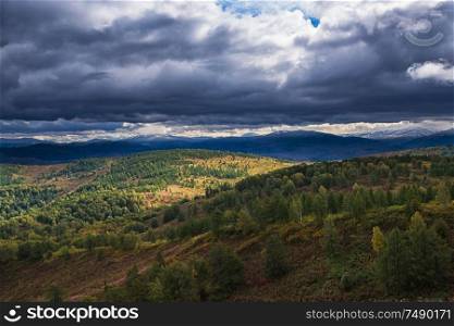 Amazing view of the autumn day with orange trees and grass in Altay mountain .. Amazing view of the autumn day