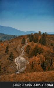 Amazing view of the road in Altay mountain. Autumn day. Amazing view of the autumn day
