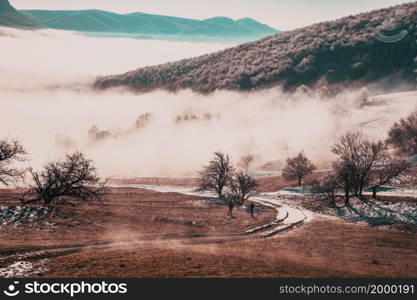 amazing winter landscape with fog and frosty trees in Rimetea Romania