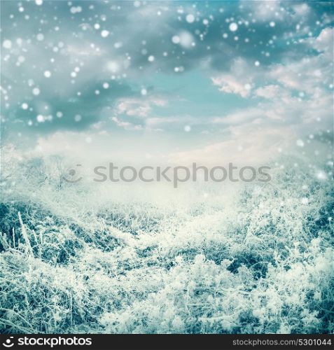 Amazing winter landscape with frozen trees and plants at beautiful sky background with snow