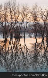 Amazing winter tree Reflections in lake. Dusk landscape scenery