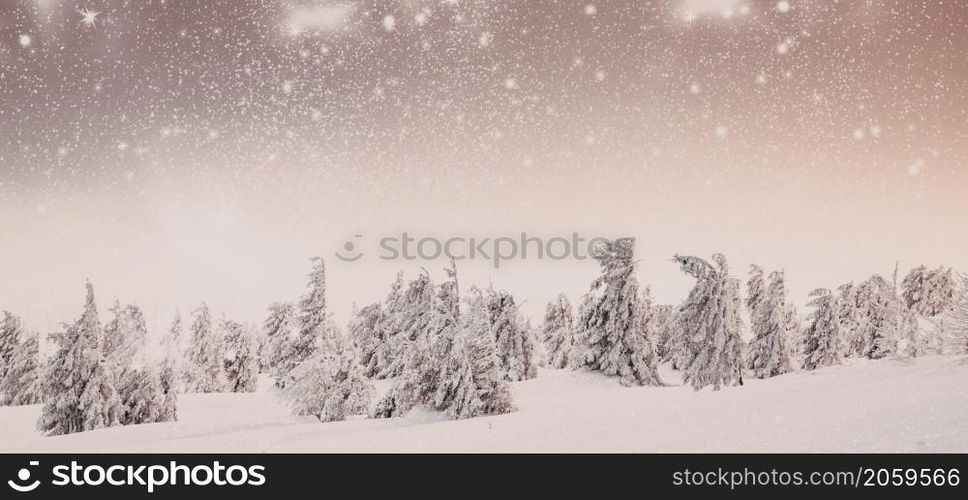 amazing winter wonderland landscape with snowy fir trees