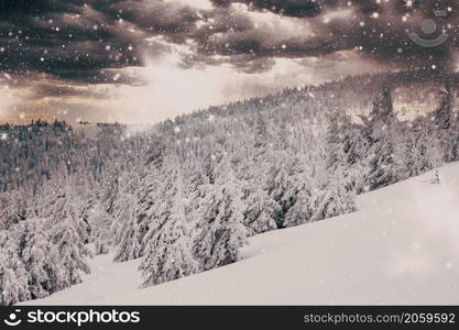 amazing winter wonderland landscape with snowy fir trees