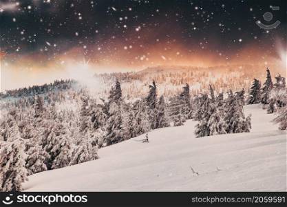 amazing winter wonderland landscape with snowy fir trees at night