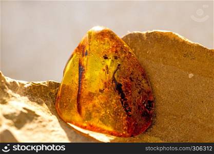Amber in sun with inclusions. Amber in sun with inclusions