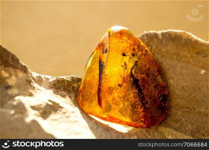 Amber in sun with inclusions. Amber in sun with inclusions