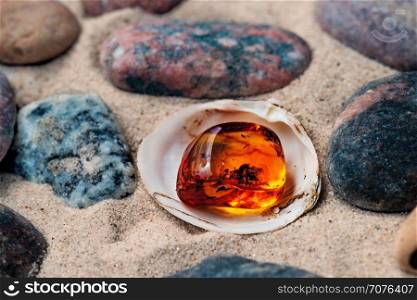 Amber on a beach of the Baltic Sea&#xA;