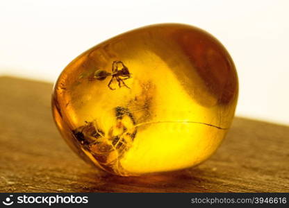 Amber with embedded insect