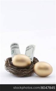 American currency placed with gold nest eggs. Vertical image with copy space above on white background.