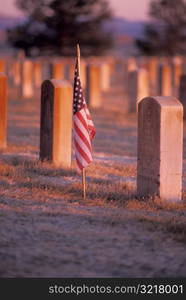 American Flag on Grave