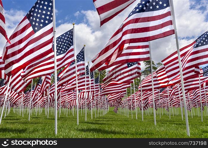 American flags on a green grass