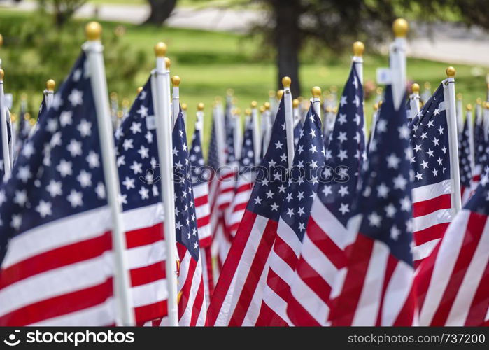 American flags on a green grass