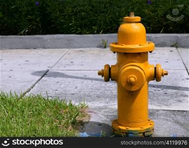 american hose hydrant, urban fire prevention
