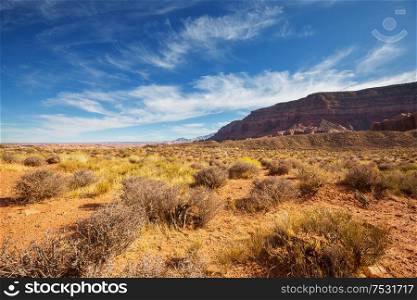 American landscapes- prairie in autumn season, Utah, USA.
