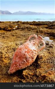 Amphora roman clay pottery with fouling in the beach of Acudia Barcares at Mallorca