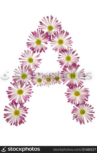 An A Made Of Pink And White Daisies