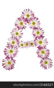 An A Made Of Pink And White Daisies
