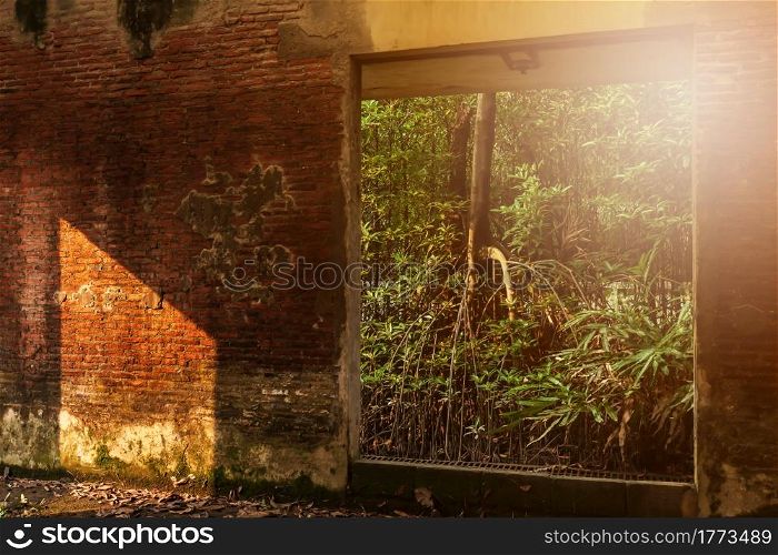 An abandoned interior of ancient fort, view from inside looking out, sunbeam shines through young green forest and ruined window into an old brick wall. Selective focus.