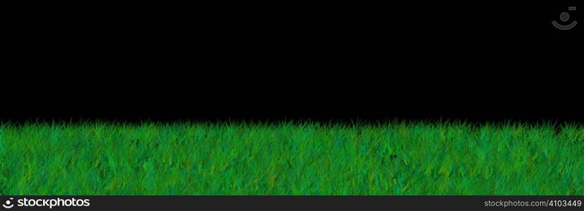 An abstract background of grass on black