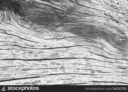An abstract pattern taken from a piece of driftwood on San Juan Island. In black and white, the swirls from the wood grain are most apparent.
